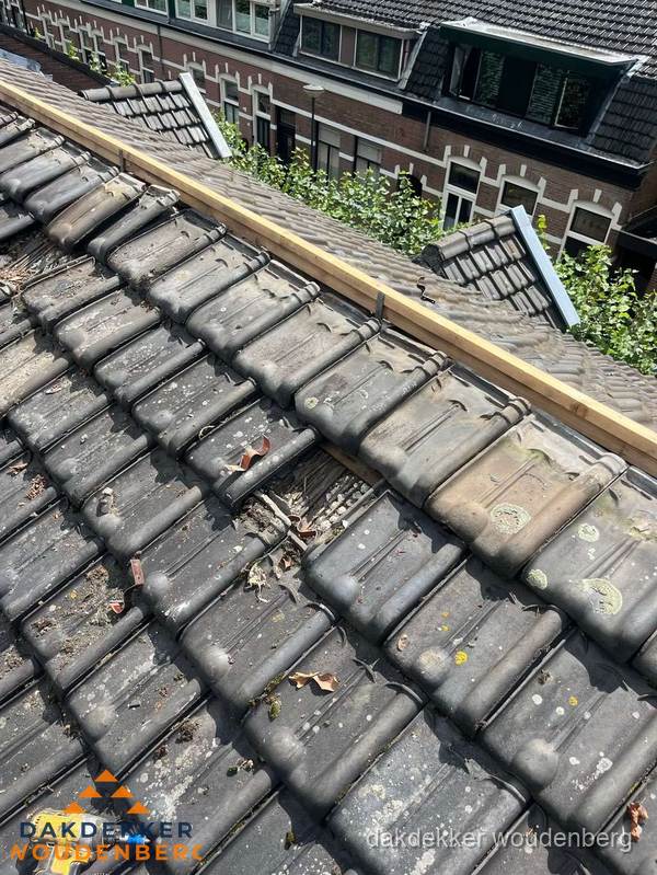 Dakonderhoud aan schuin pannendak met nokvernieuwing in Woudenberg Dakonderhoud aan schuin pannendak met nokvernieuwing in Woudenberg